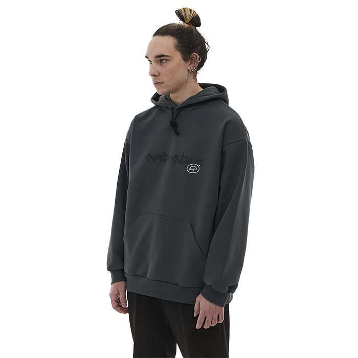 Толстовка ANTEATER Hoodie-Grey-Logo — фото 2