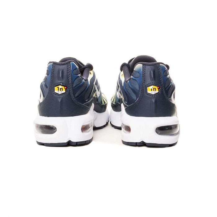 Кроссовки Nike подростковые Air Max Plus GS 655020-420